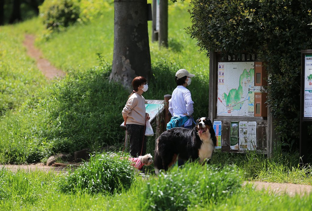 【初夏】さて、今日はどこを歩こうかな