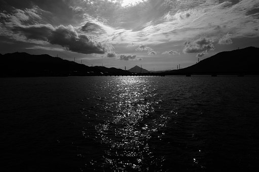 5月31日の写真