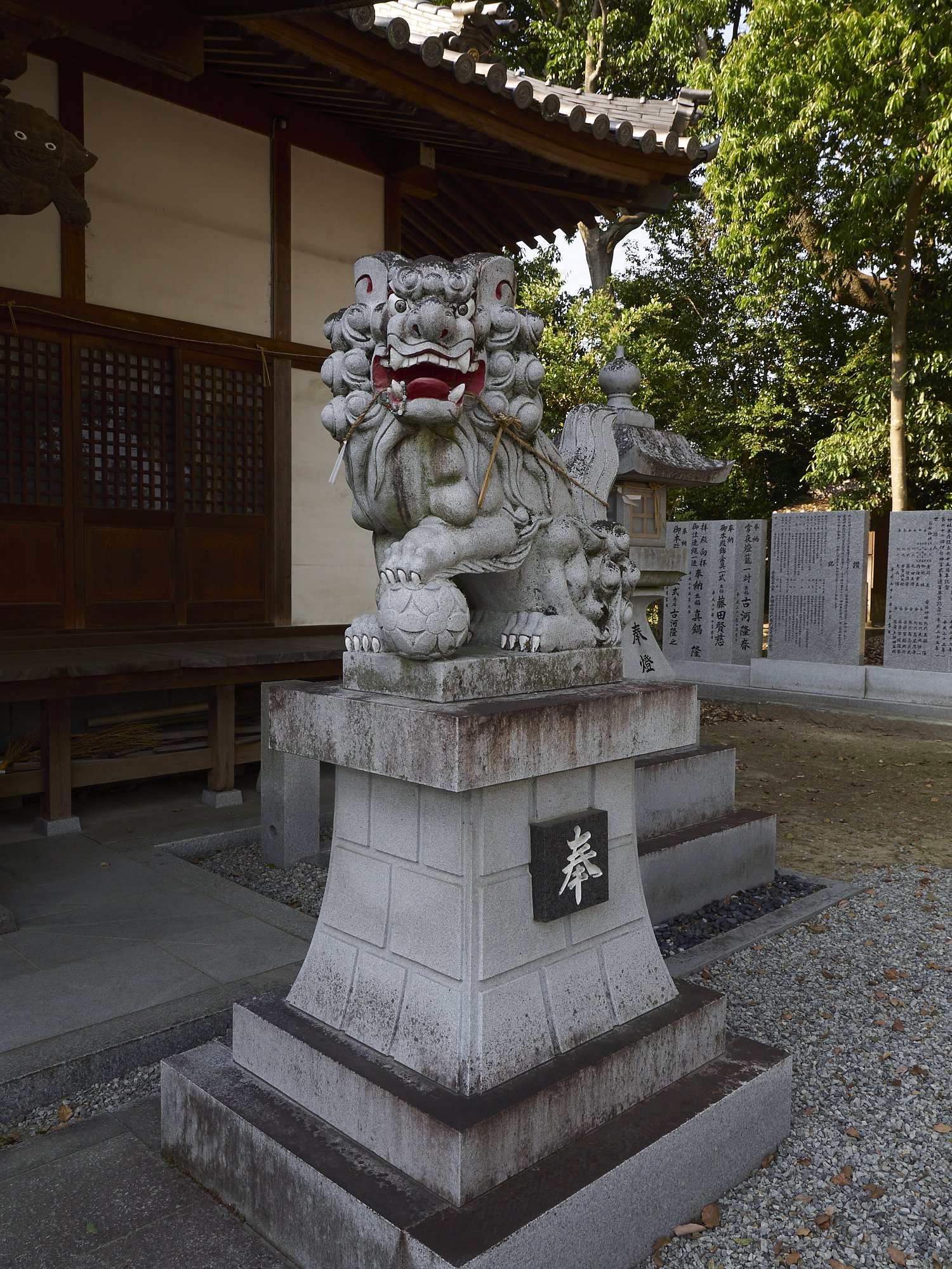 雑感