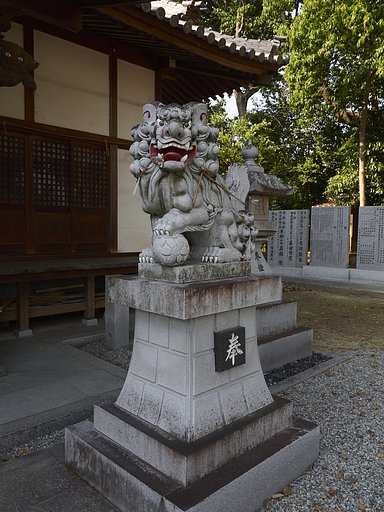 雑感