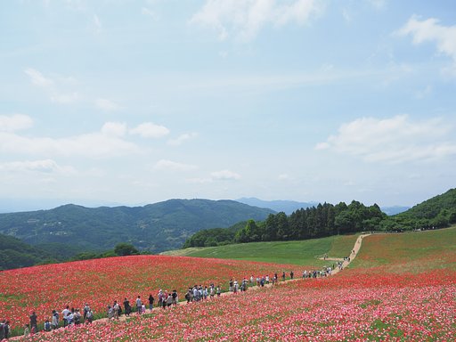 押し寄せる情熱