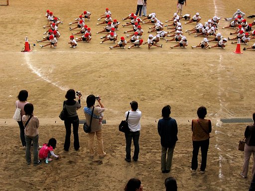 体育参観日
