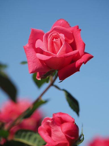 10月23日の写真