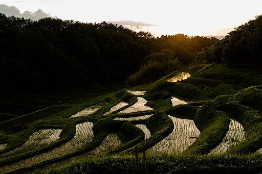 日没前