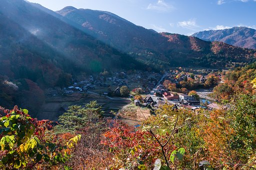 11月7日の写真