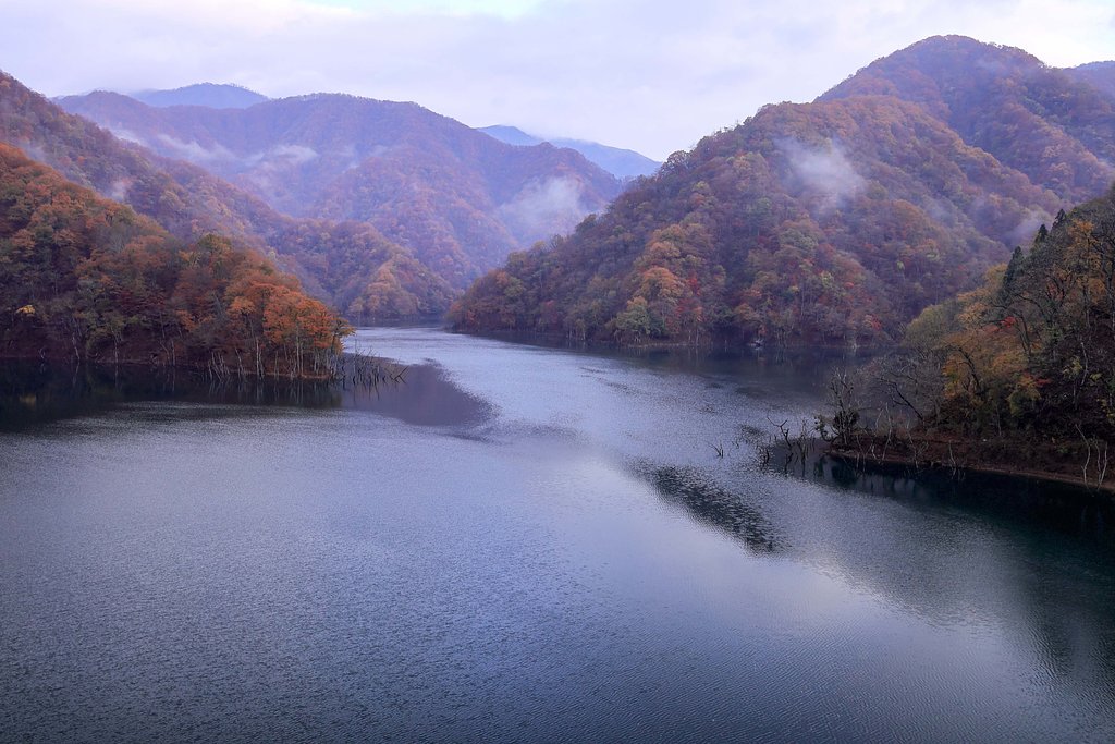 朝の徳山ダム Ⅱ