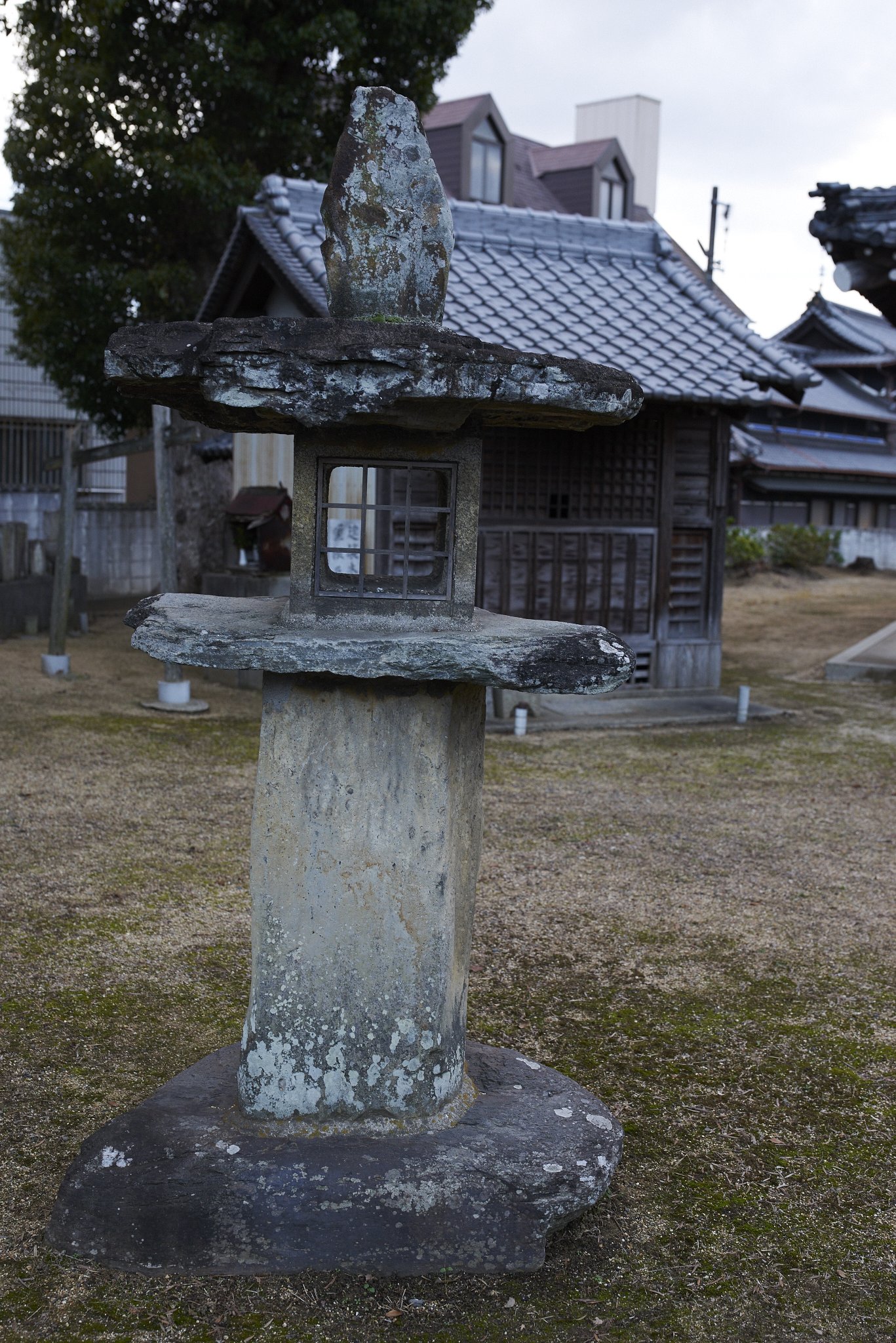 雑感