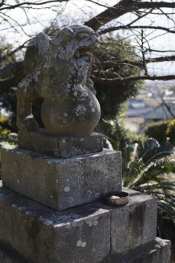1月1日の写真