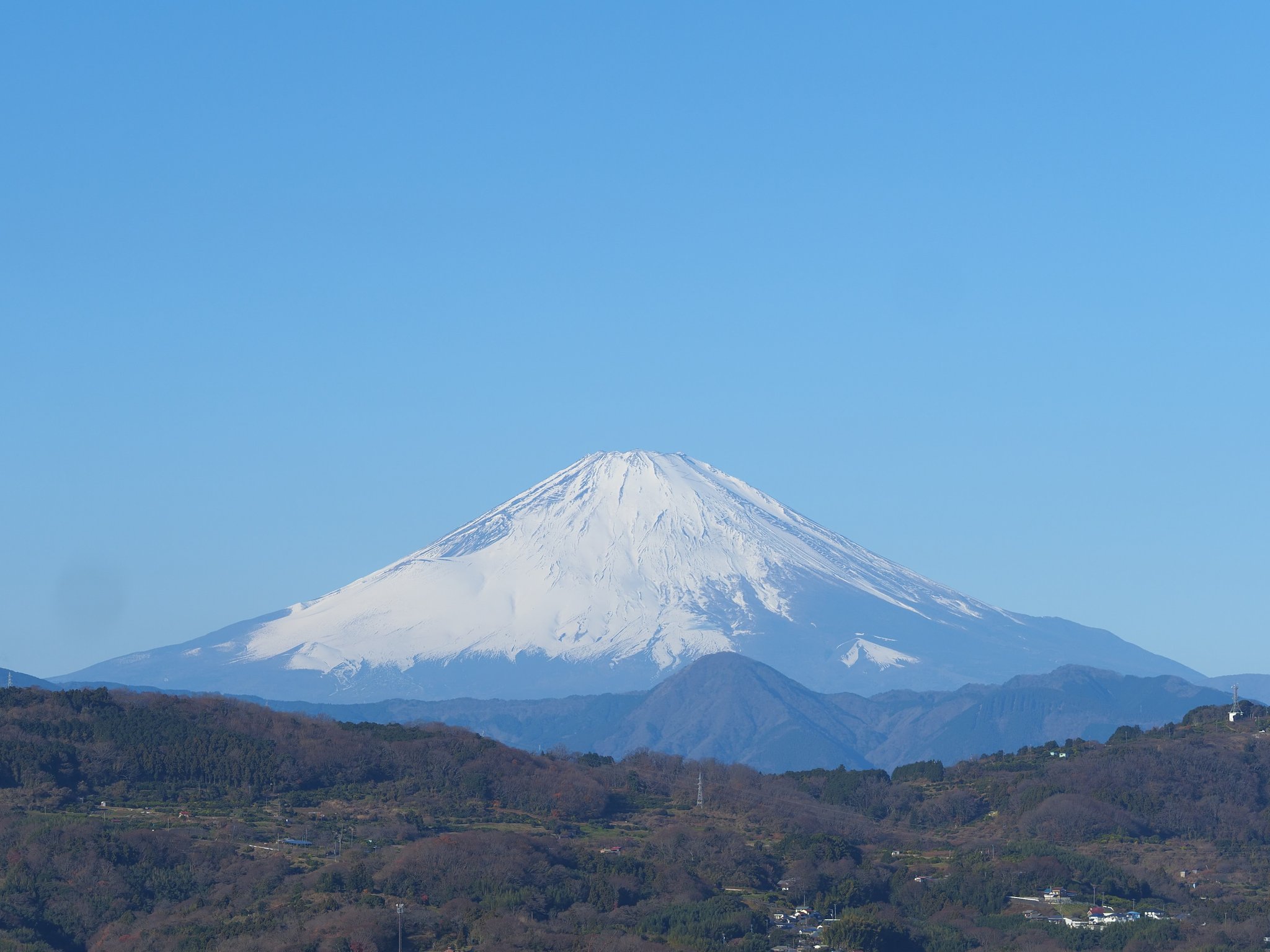 白妙の美しさ