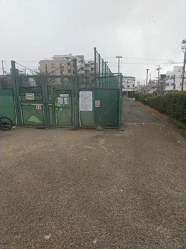 1月28日の写真