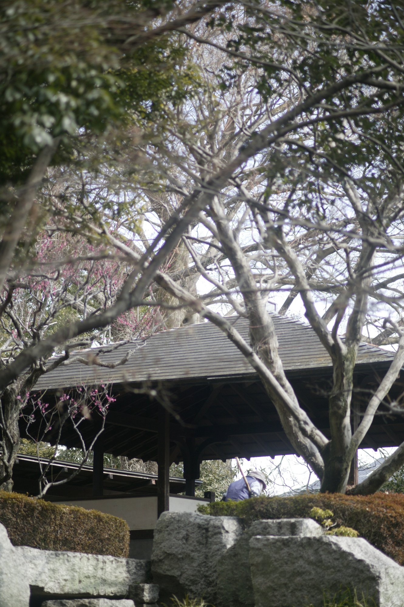 雨宿り