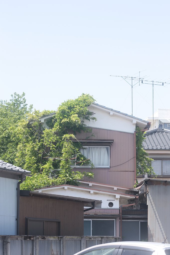 真っ緑なスカーフ