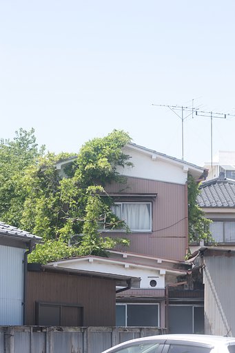 真っ緑なスカーフ