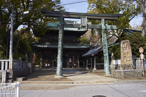 6月5日の写真