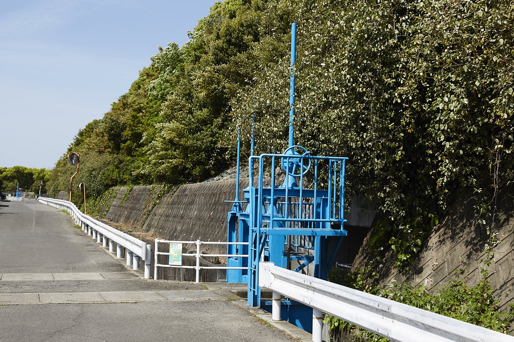 雑感