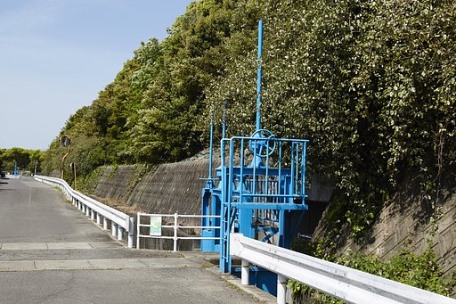 雑感