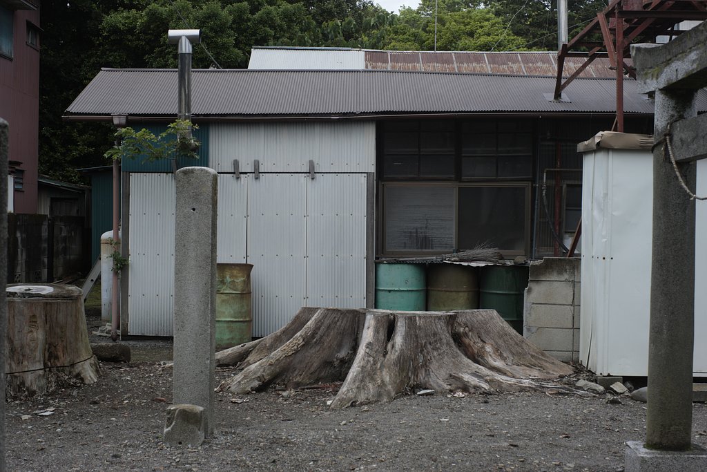 お茶屋さん裏手