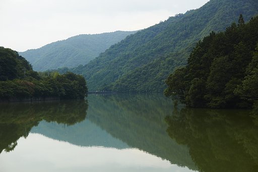雑感