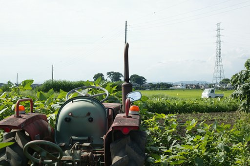 見守る景色