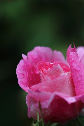 雨の日は家にいないで