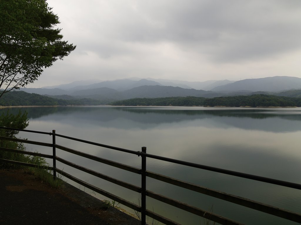 雑感