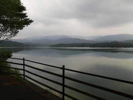 雑感