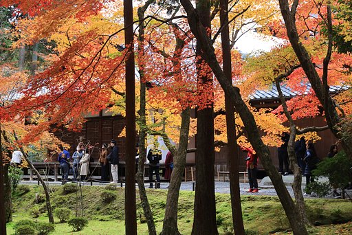カウンター・バランス