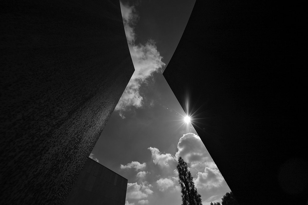 ✴Sun rays✴