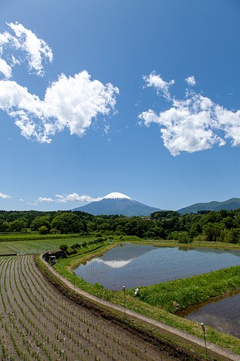 定点撮り比べ　２４ミリ