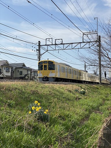 西武沿線、黄色系の出合い