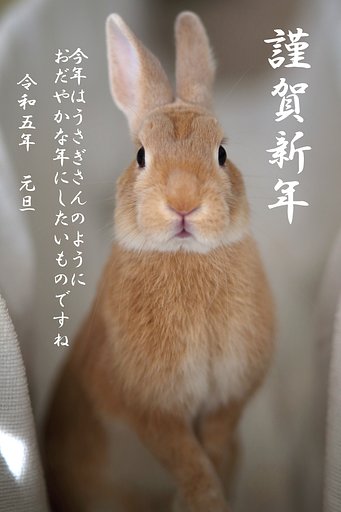 1月9日の写真