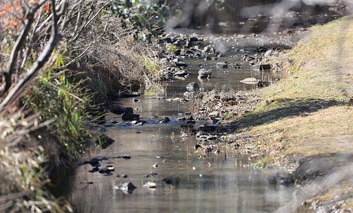 もうすぐ春の小川