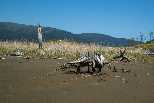 陸前高田の記憶　Ⅲ