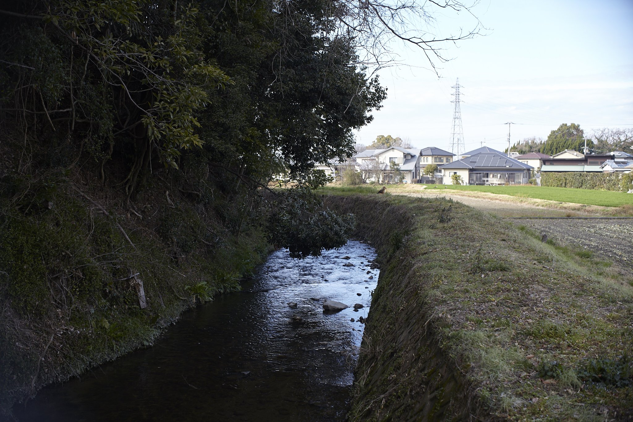 歩き写真の意味