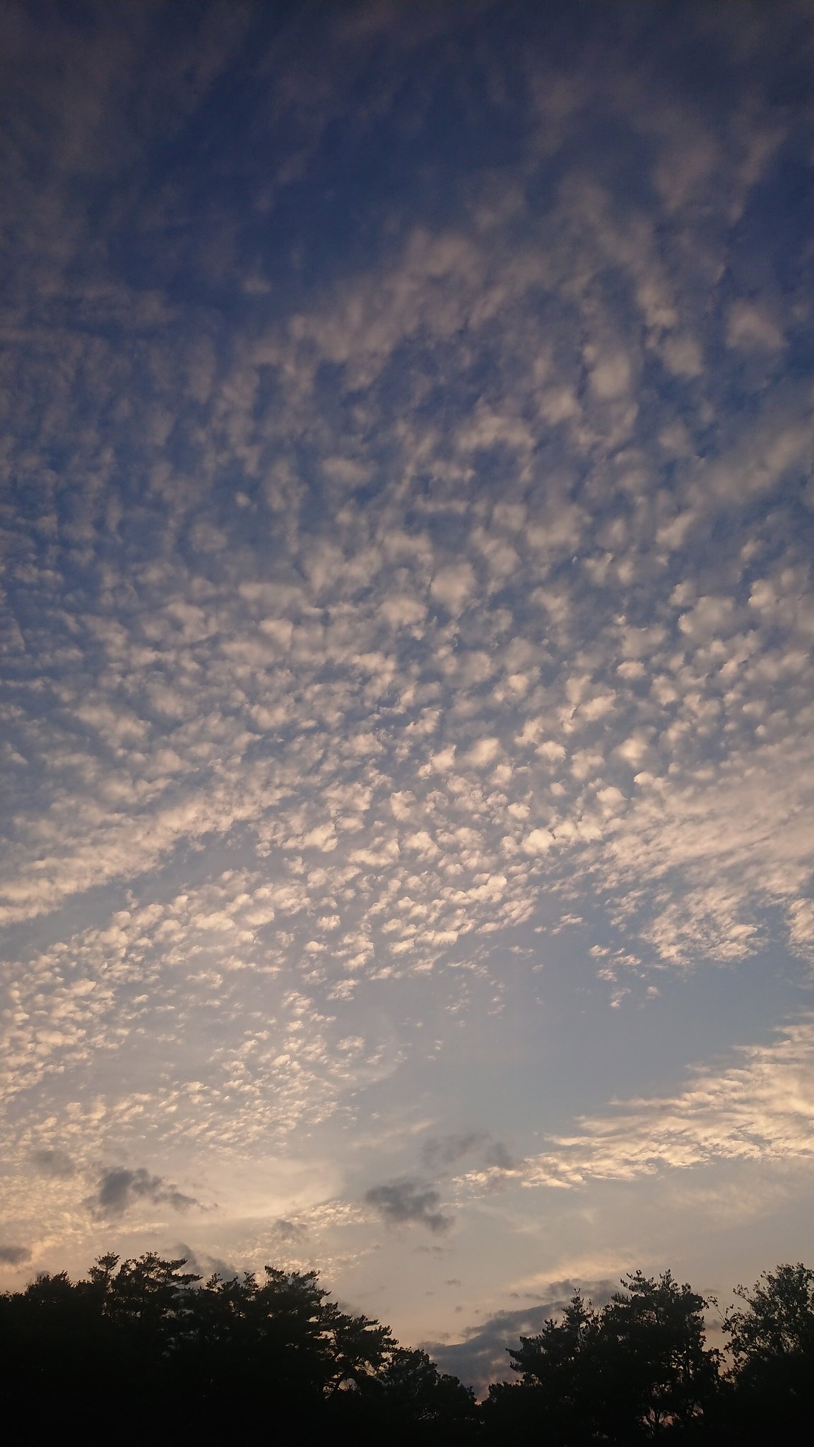 夕暮れのドラマ