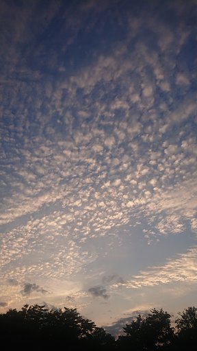 夕暮れのドラマ