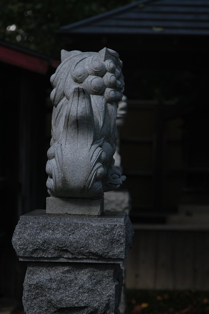 尻尾