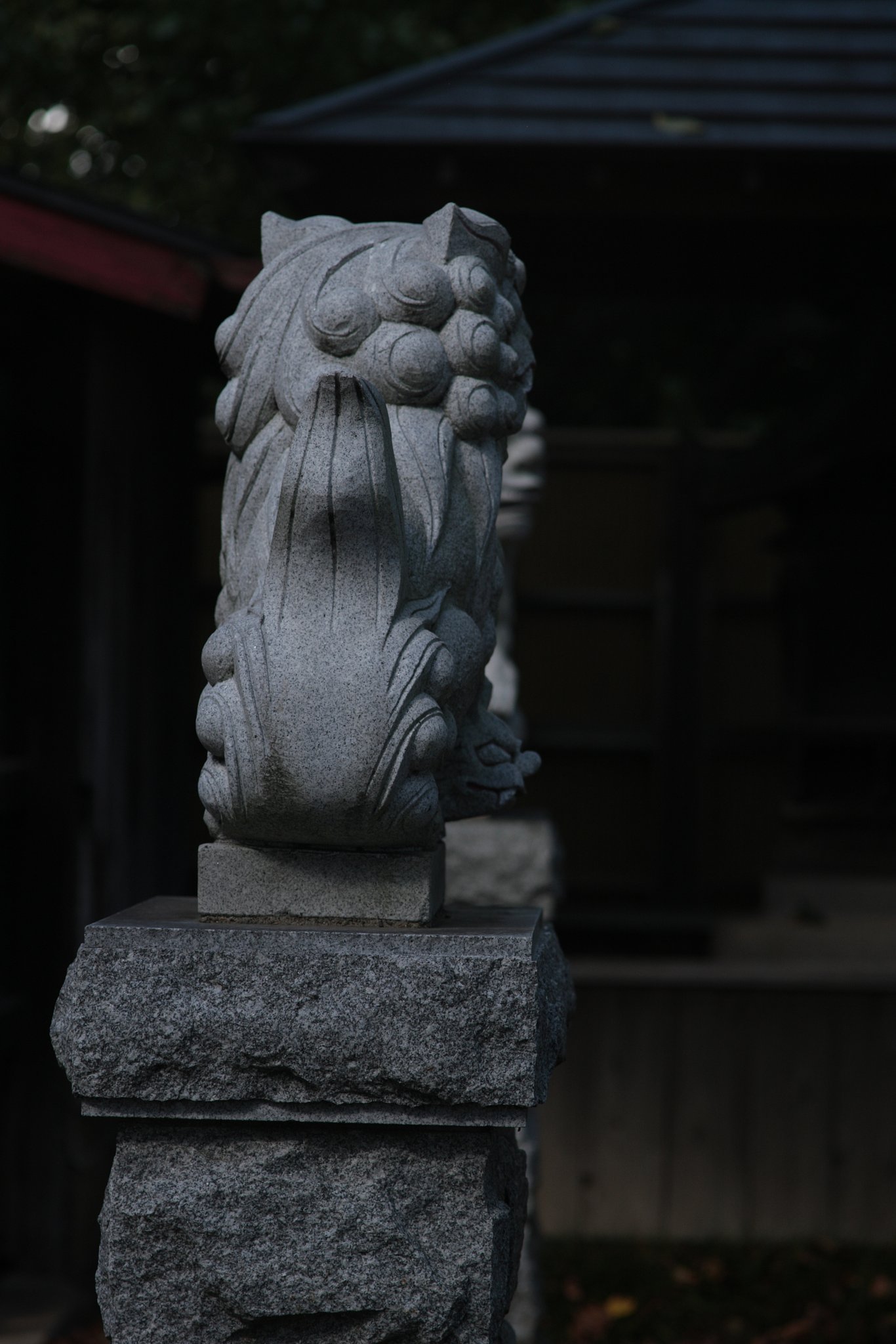 尻尾