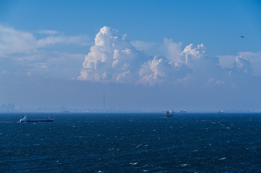 夏の東京湾