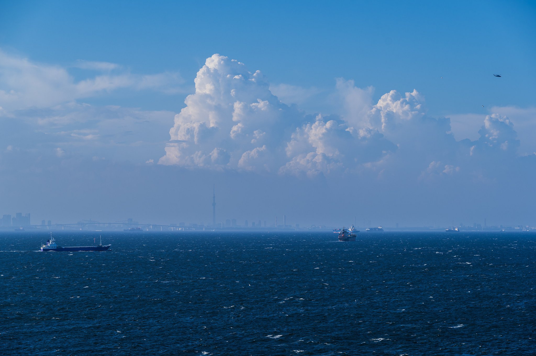 夏の東京湾