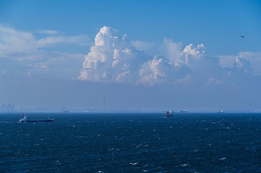 夏の東京湾