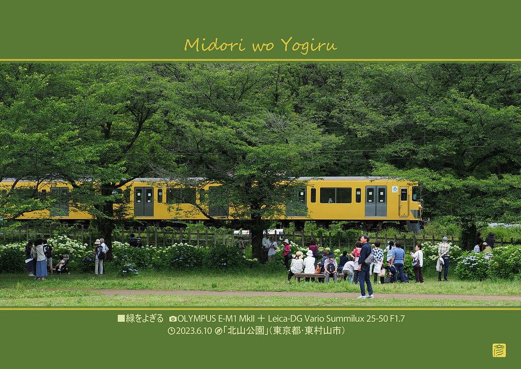 緑をよぎる