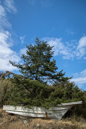 西湘の廃船