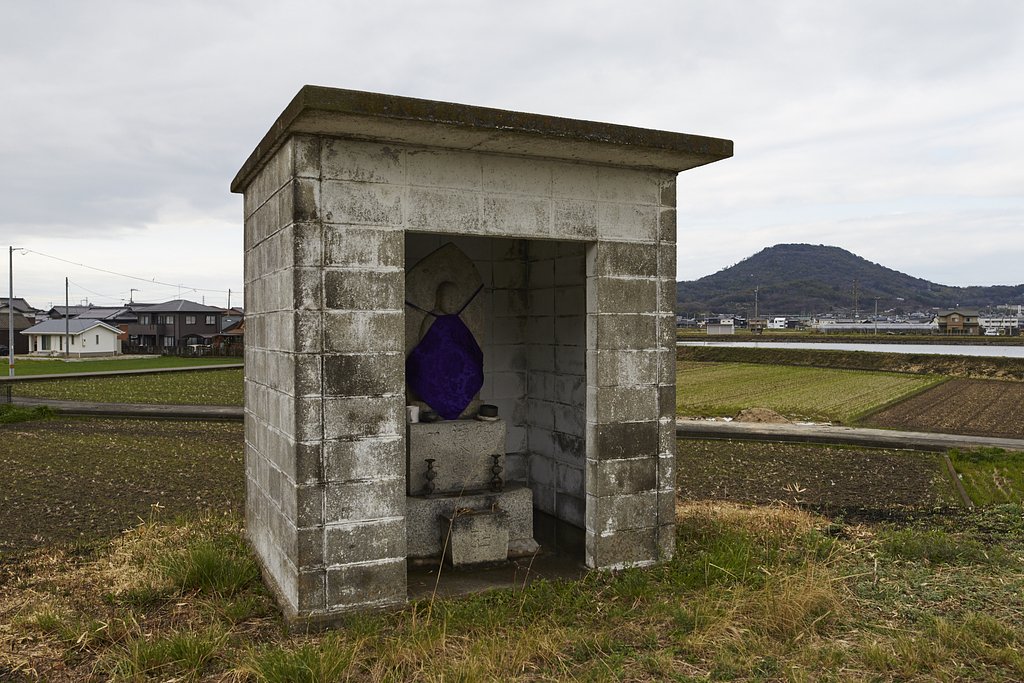 雑感