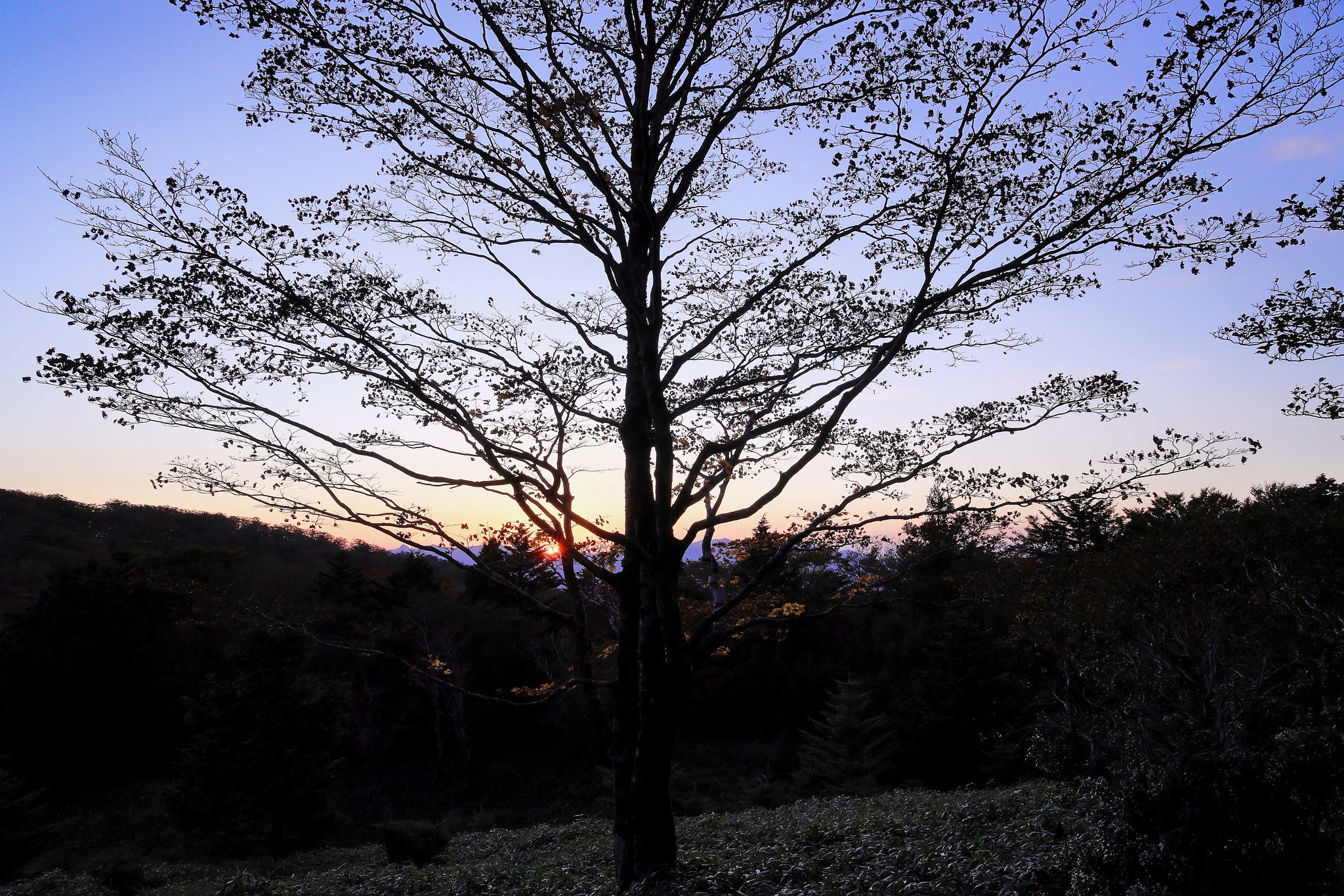 山頂の落陽