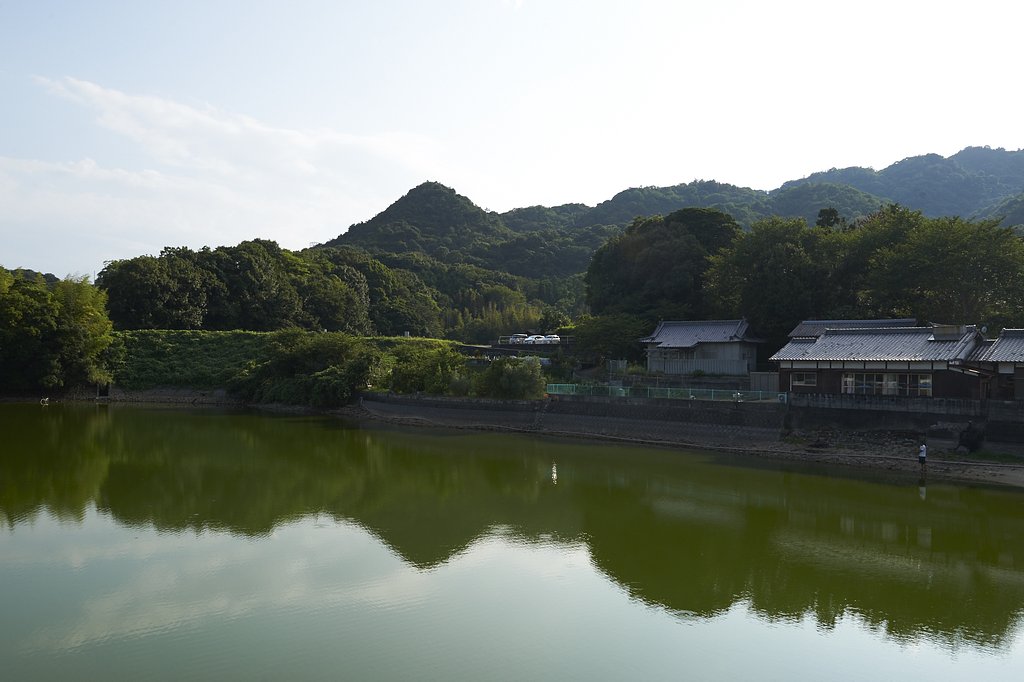 雑感