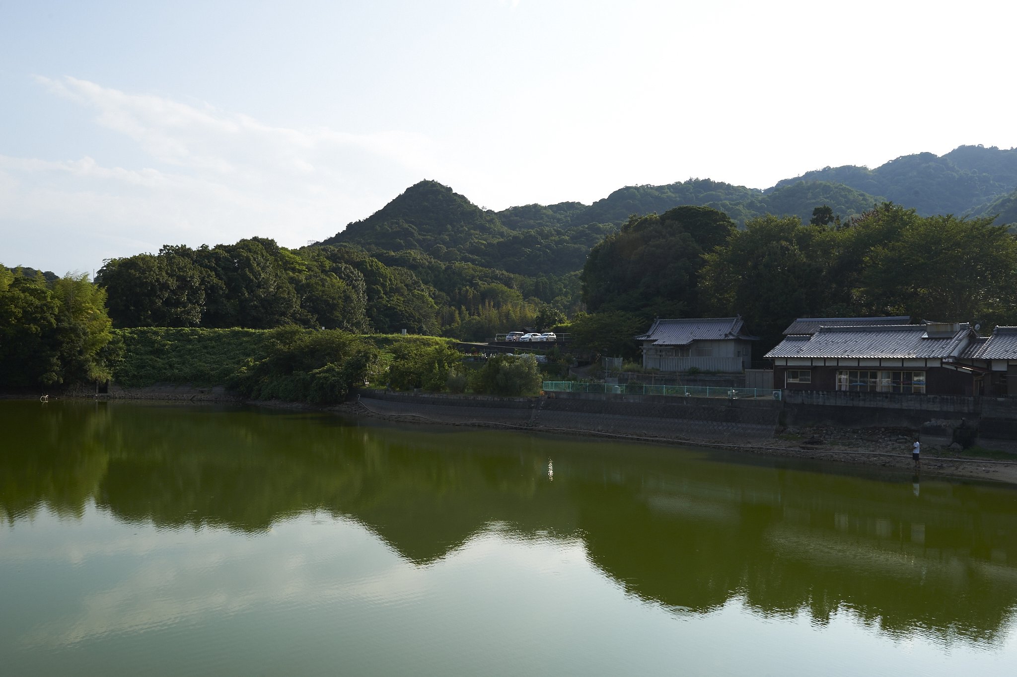 雑感