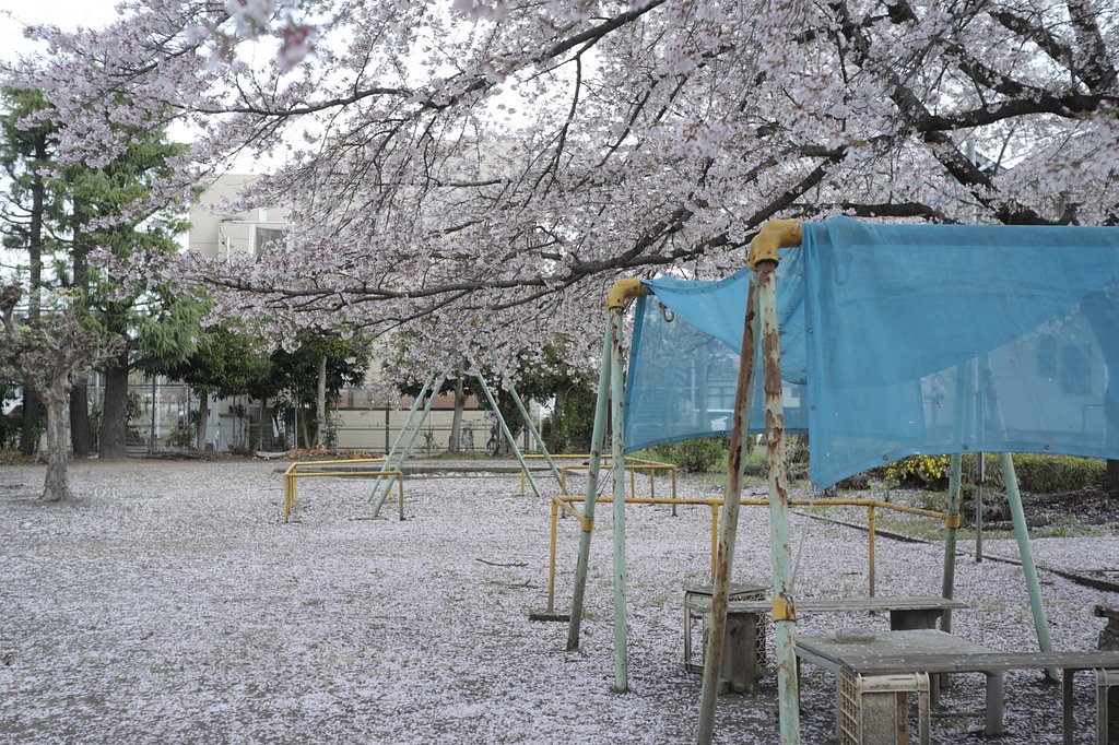 いつもの公園