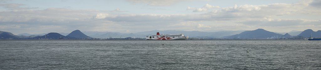 雑感
