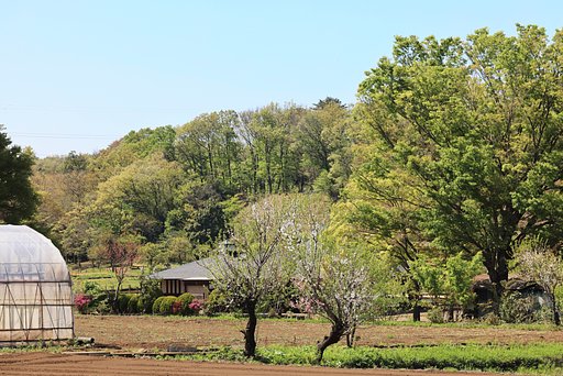 里山萌える